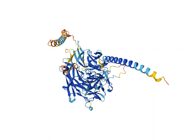 An animated rotation of AlphaFold's predicted 3D structure for the protein Q8I3H7.